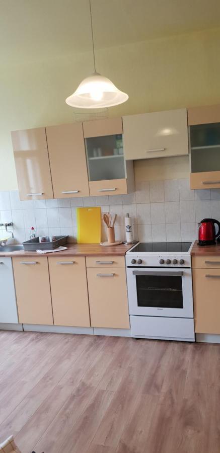 Apartments Wagner Crimmitschau Zewnętrze zdjęcie